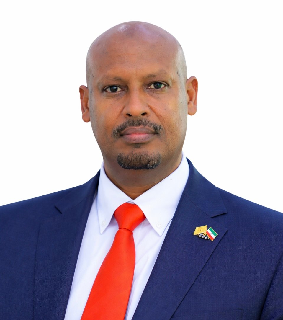 Message From The Auditor-General