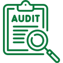 Special Audits