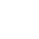 Our Vision